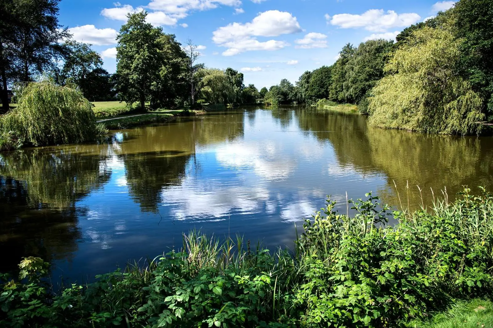 Lake with green trees and blue sky at Naturstrøget in Grindsted