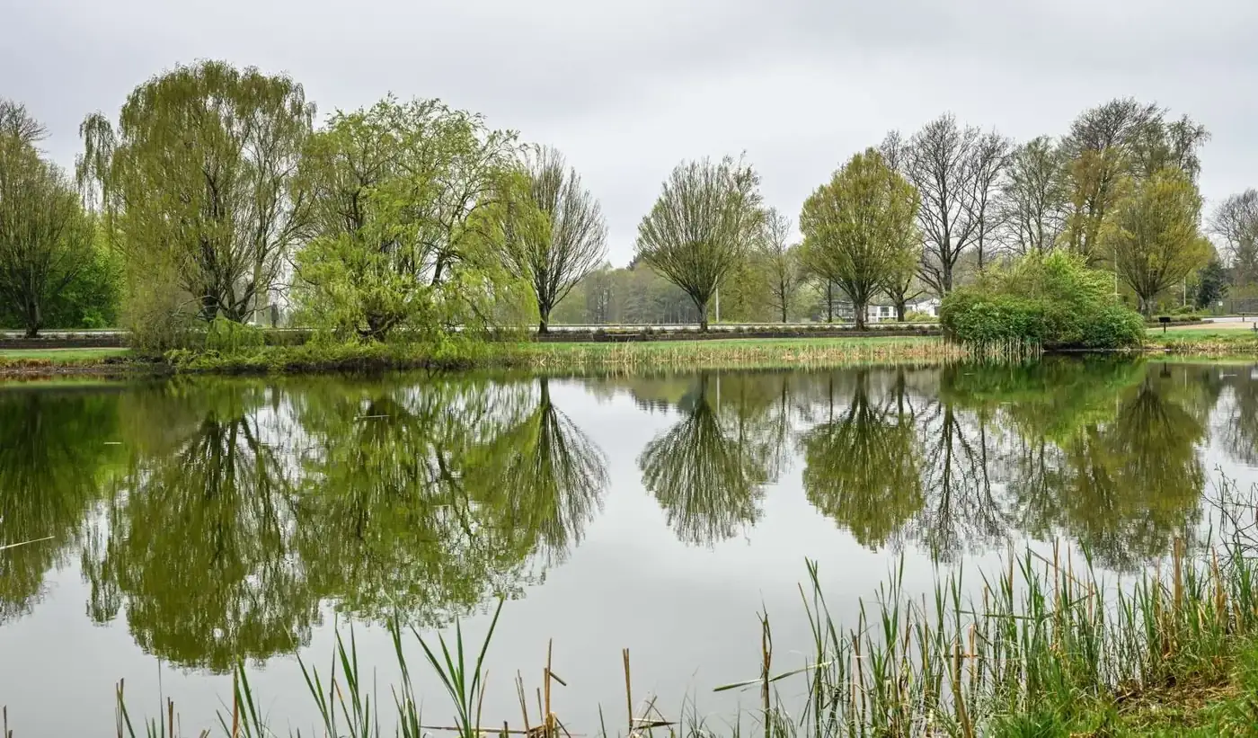 Green trees reflected in a calm lake in Grindsted